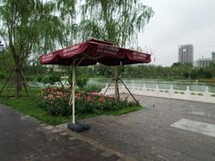 -西海子公园