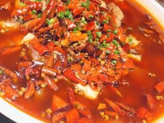 -庆合府重庆大排档(紫都城店)