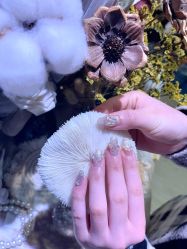 点击看大图 -1R日式轻奢美睫美甲翘睫