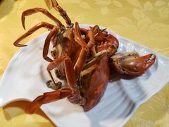 -莲花公园煎蟹(总店)