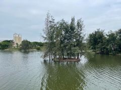 -五里桥文化公园-西侧停车场