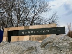 -北京石刻艺术博物馆(五塔寺)