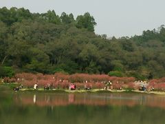 -南国桃园旅游度假区