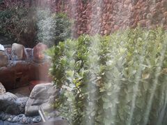 -北京益泉花园酒店
