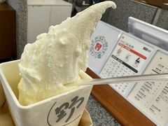 -野人先生Gelato(上海长宁龙之梦店)