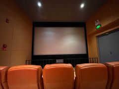 -华美国际影城(旧宫永辉店)