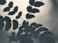 -汇龙潭