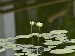 -国家植物园南园