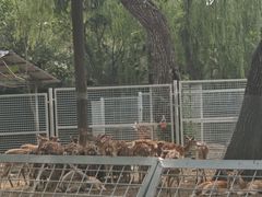 -济南野生动物世界