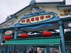 -海合安成都极地海洋公园