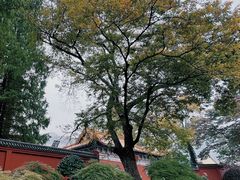 -冶父山国家森林公园