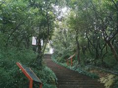 -杭州半山国家森林公园