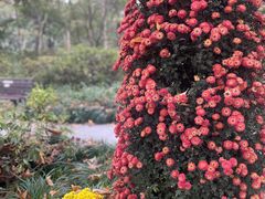 -杭州植物园