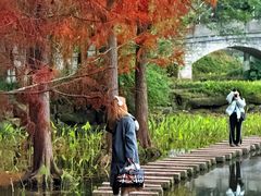 -重庆彩云湖湿地公园