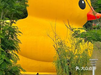 我的城市也大黄鸭啦！想看看你们城市的鸭鸭..