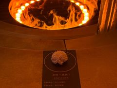 -舒小悦·舒养SPA·古法推拿(光环中心店)