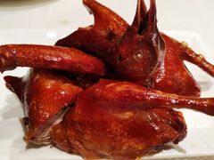招牌脆皮乳鸽-新雅粤菜馆(南京东路店)