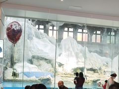 -帝企鹅自助餐厅•儿童岛•真企鹅(长隆企鹅酒店)