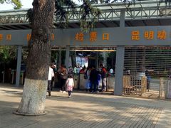 -昆明动物园