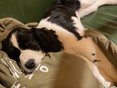 -铁人烧烤(北京店)