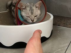 -福州肆爪动物医院