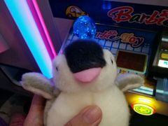 -PAWTOY爪e玩偶店(天兴罗斯福店)