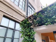 门面-% Arabica阿拉比卡咖啡(武康路店)
