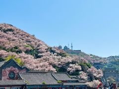-泰山风景名胜区