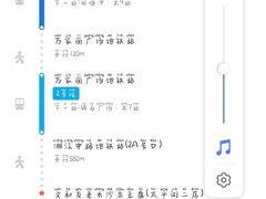 -文和友老长沙臭豆腐(太平街二店)