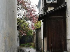 -乌镇东栅景区
