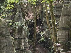 -梭布垭石林景区