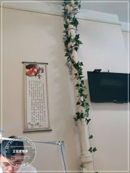 -正医堂推拿