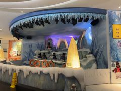 -帝企鹅自助餐厅•儿童岛•真企鹅(长隆企鹅酒店)