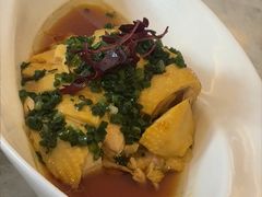 老底子葱油鸡-喜来登由由大酒店九州膳坊中餐厅