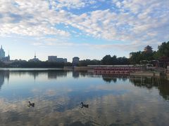 -莲花池公园