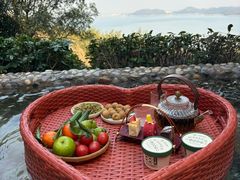 -天目湖涵田半山温泉