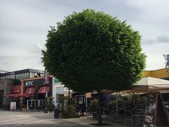 -马德里拉斯咯扎斯购物村