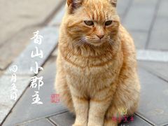 -香山公园
