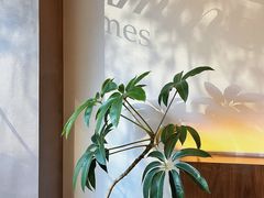 -溯洄咖啡VORTEX COFFEE