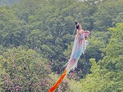 -洛阳白云山景区