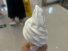 -山东大学体育馆