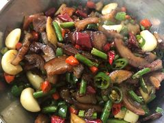 -新新湘菜馆(新中街二条店)