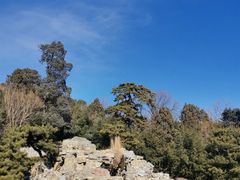 -香山公园