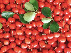 -三旗百汇商品城