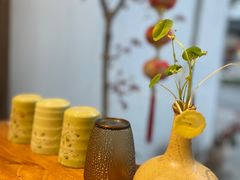 -椿不老