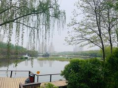 -前关湿地公园
