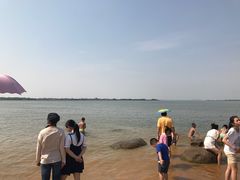 -瑶湖郊野森林公园