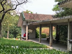 -晓港公园