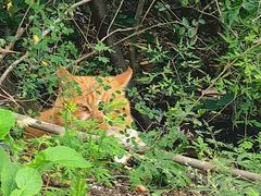 -北京凤凰岭