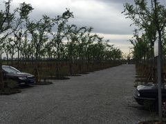 -嘉北郊野公园北游客中心-地上停车场